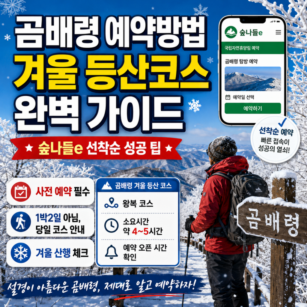 ChatGPT Image 2026년 6월 3일 오전 12 50 56